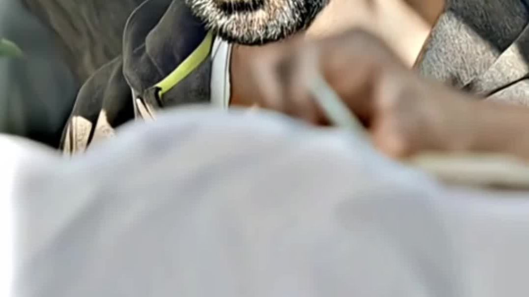 ⁣Akshay Kumar ka demakedaar daeilog