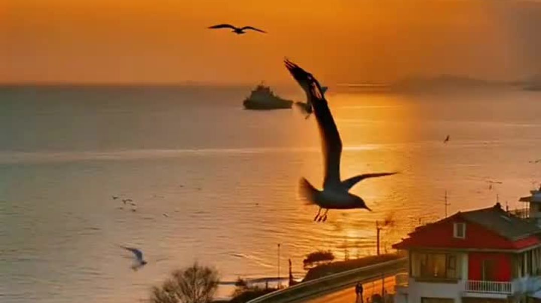 ⁣Pin de ❤️🤍Natalia em Ваші піни em 2025 _ Lindas paisagens_ Fotos de tucano_ Lindas cachoeiras(MP4)