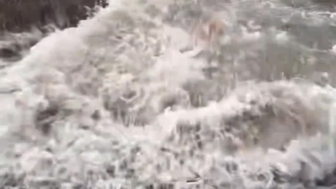 ⁣#viral #video #comedy