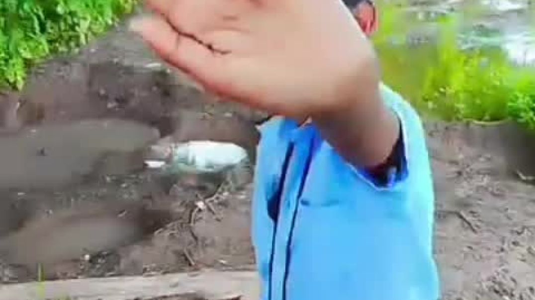 VID_20251203_192010_036~2