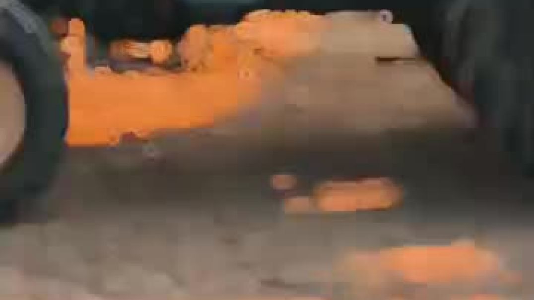 ⁣VID-20251012-WA0000