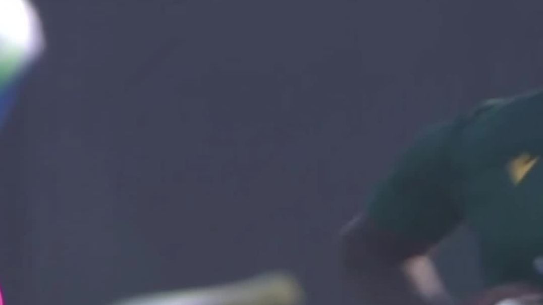 video_20251203_152403_edit