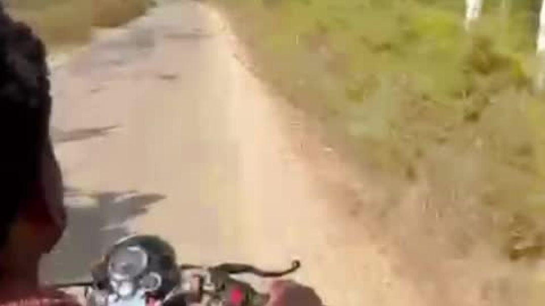 ⁣VID-20251125-WA0035