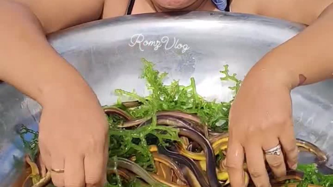 AQNhhh-RwDLF0dTVlpn9OdHTk8T2QGJ6hB1dgSrPZGQWJmxZXCOkLAFgqlio6ZNBJO_0biZ4z_otVQfgXnWVGrgJ91ZfVFPaI71c