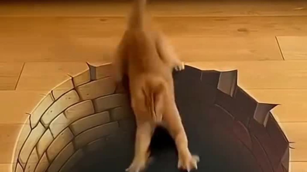 ⁣Cat discovered a secret level 😹🕳️🐾😳✨ #CatAdventure #FunnyPetMoments #OpticalIllusion #HomeVi