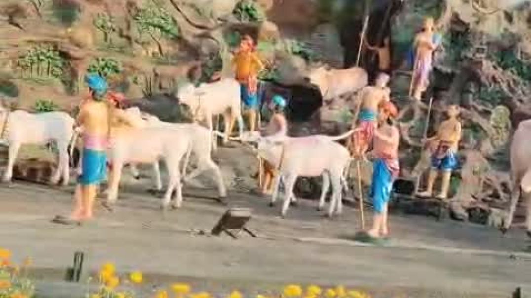 ⁣VID-20250627-WA0002