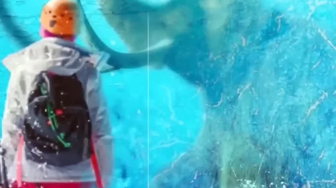 ⁣Scientist_इन्हें_ज़िंदा_कर_रहे_हैं_😨___Animals_That_Scientist_Will_Revive_Soon___The_Fact___#shorts(