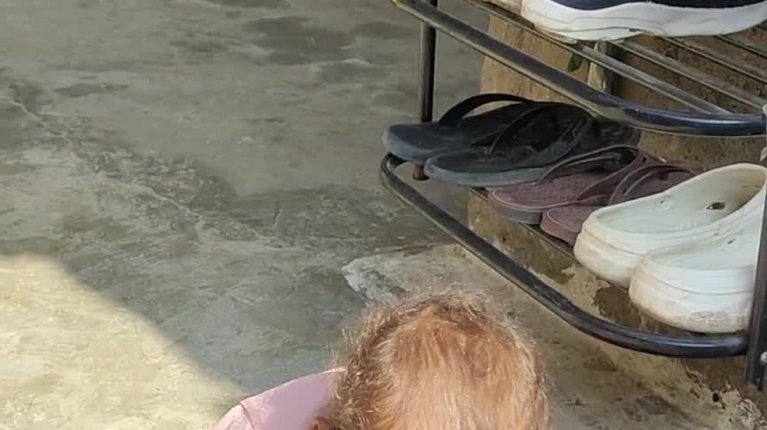 VID_20251206_112636702