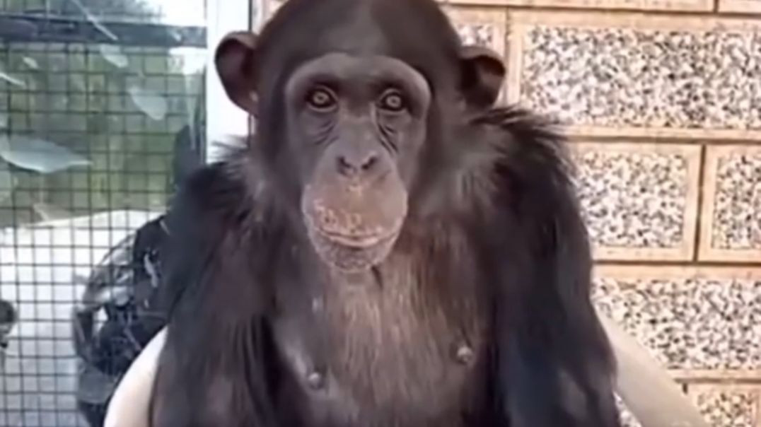 ⁣Jamai jyare aekala pahelivar sasariye gaya hoy