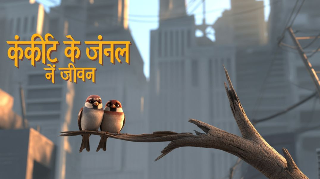 ⁣गौरैया जोड़े का संघर्ष: कंक्रीट के जंगल में जीवन की जद्दोजहद