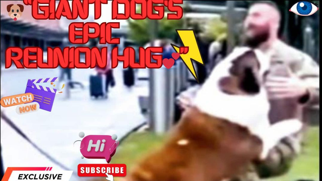 ⁣Loyal Dog's Emotional Reunion Hug at Airport | Military Homecoming 2025 🐕❤️