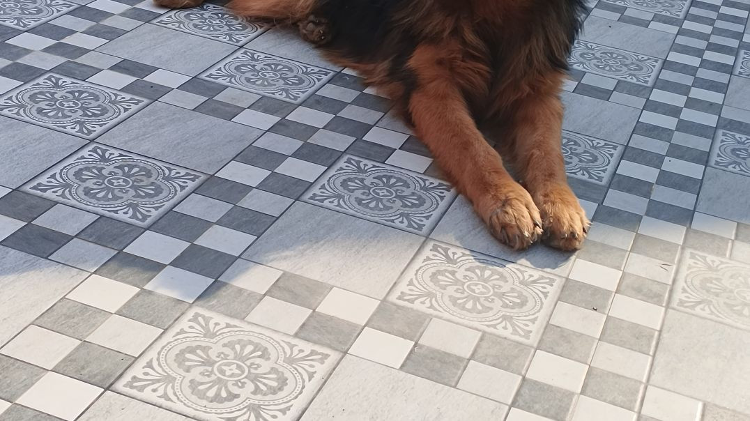 VID_20251208_234618_140