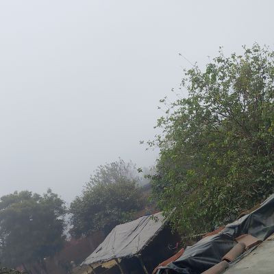 115245313429004668697 