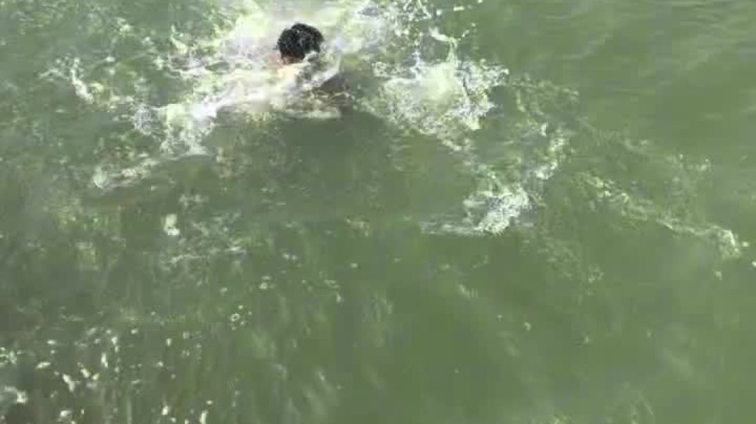 ⁣Wait for end 💀#comedy #viral #funny#🎂要怎麼不經意的讓另一一半看到這篇文👀 #funnyvideos #comedyreels#instagramreels #re