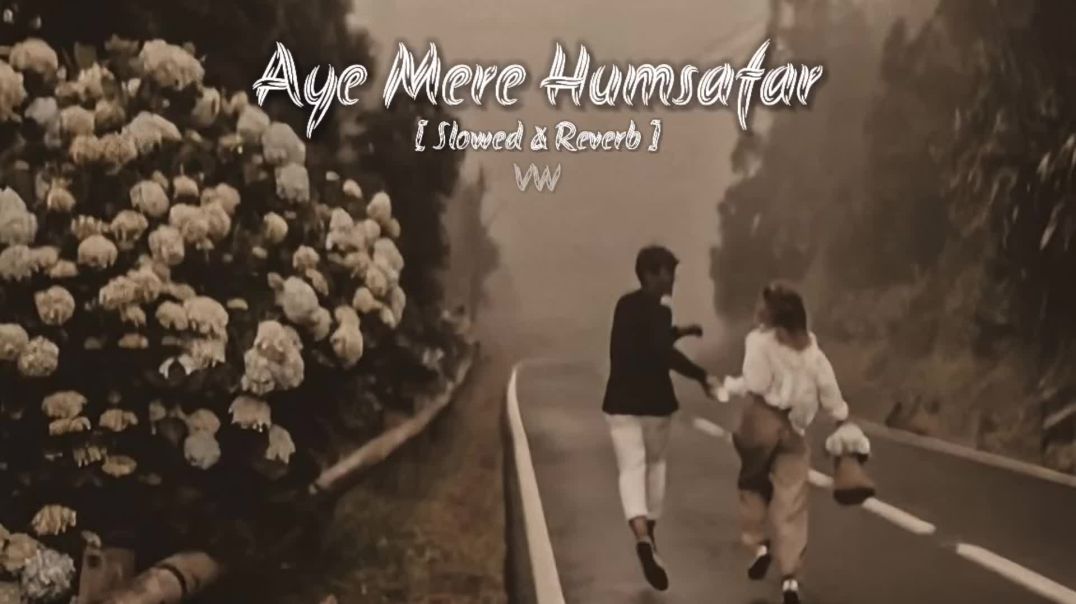 ⁣Aye Mere Humsafar _ Slowed Reverb Song - VW lofi