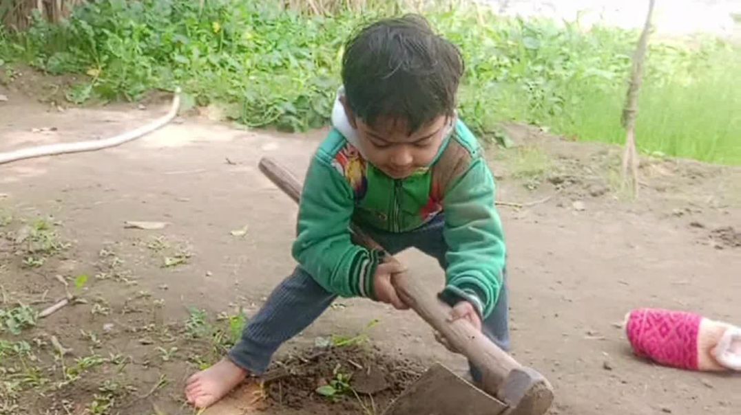 VID_20251227_083727_647_bsl