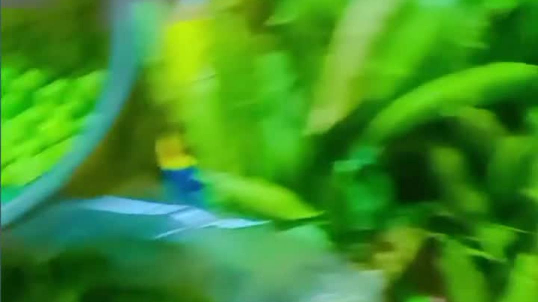 VID_20251210_032328_583