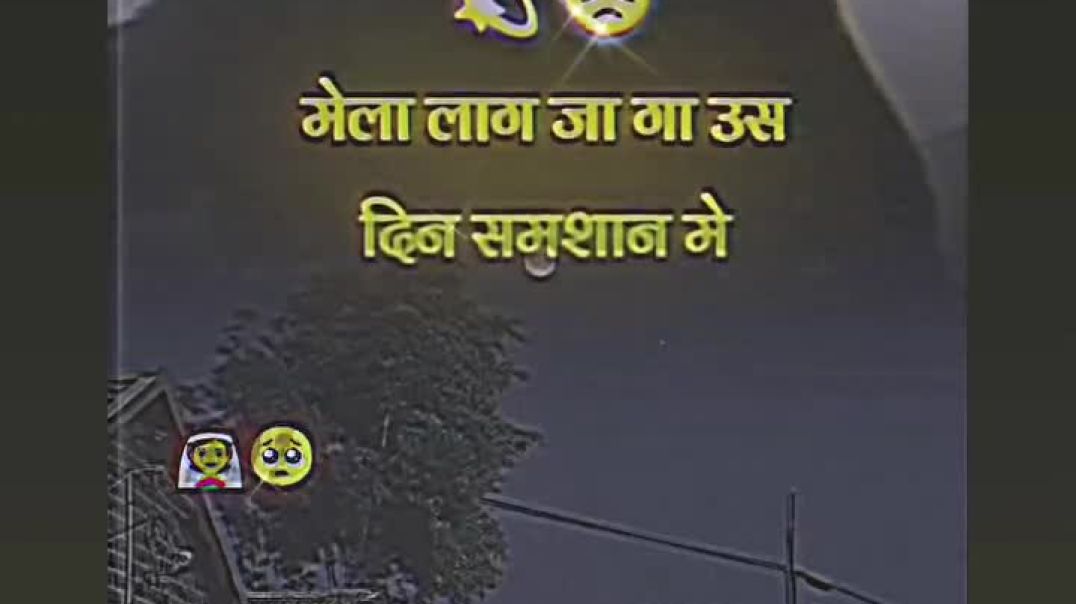 VID_20251206_084011_027