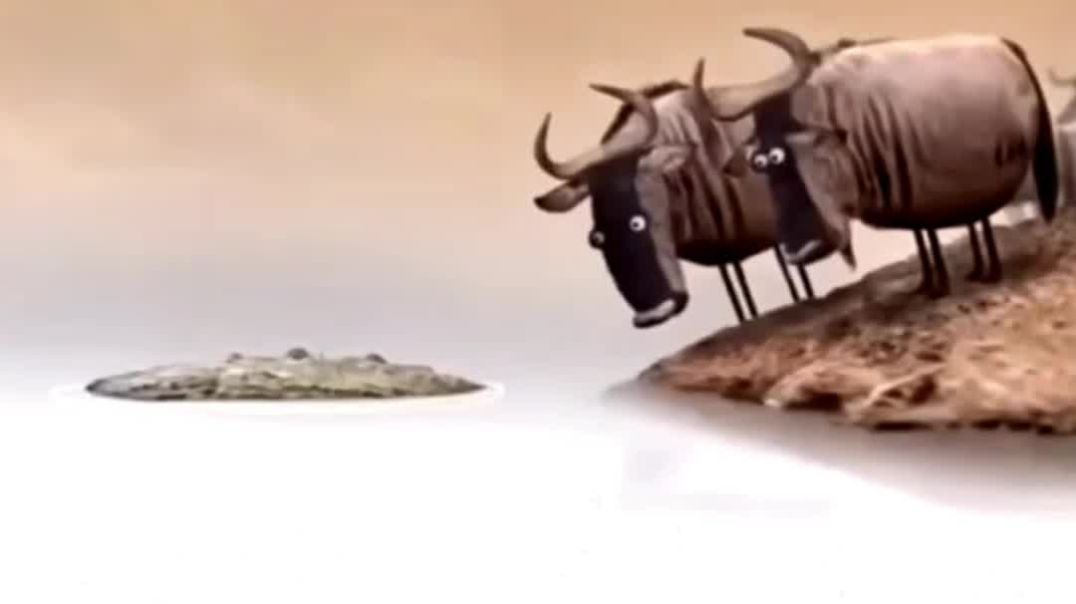 ⁣Cartoon video comedy video video