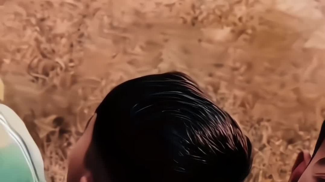 VID_20251230135529087