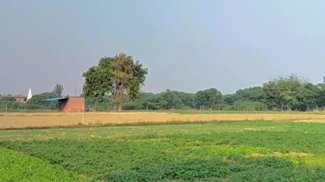 ⁣अपना_गांव_🌾😍🛖______#village_#villeglife_#villeglover_#trendingreels_#reels_#instagramreels