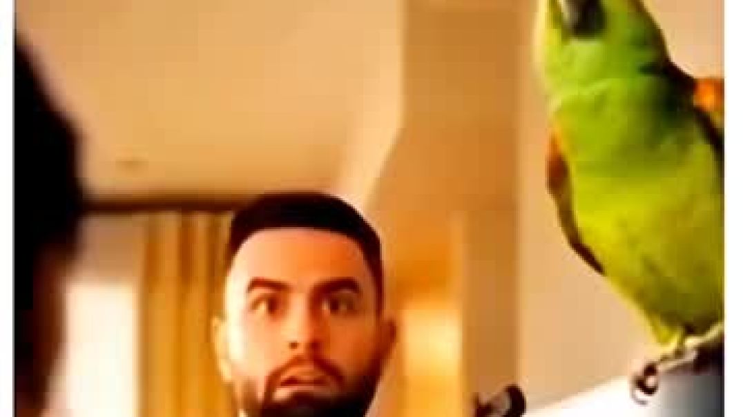 Introducing_the__VitalWear_SmartBand%2C__a_next-generation_wearable_gadget%F0%9F%8E%89(360p)