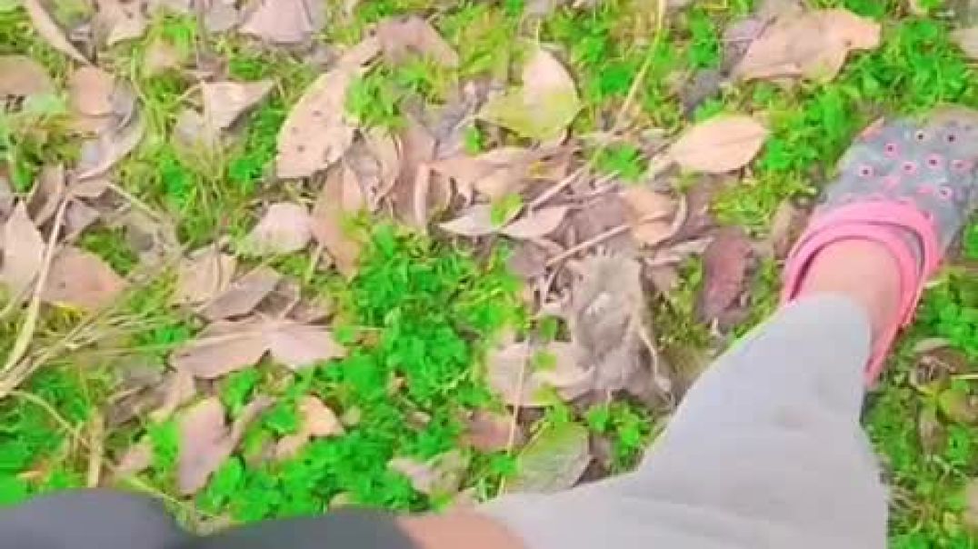 ⁣पहले जैसा था बिलकुल ऐसा ही