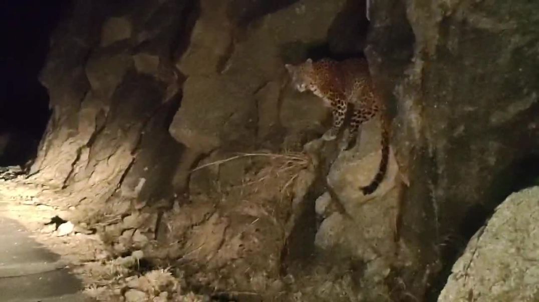 433adf43843d438eb24b8e7612b6f3ce