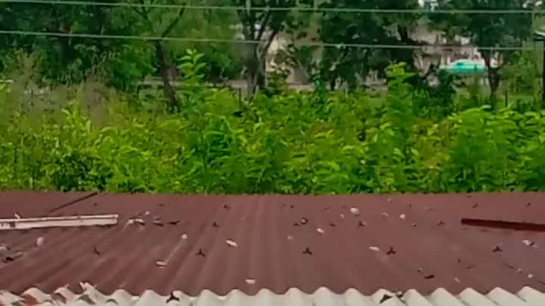 ⁣chal wahan jaate hain__❣️ arijit singh_🎵 tiger shroff &amp;amp; kriti sanon _❣️ short video vira