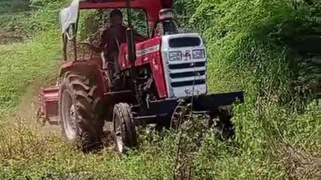 ⁣VID-20251018-WA0003