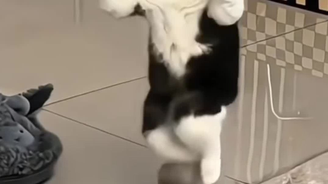 ⁣Funny video😂😂😂😂😂