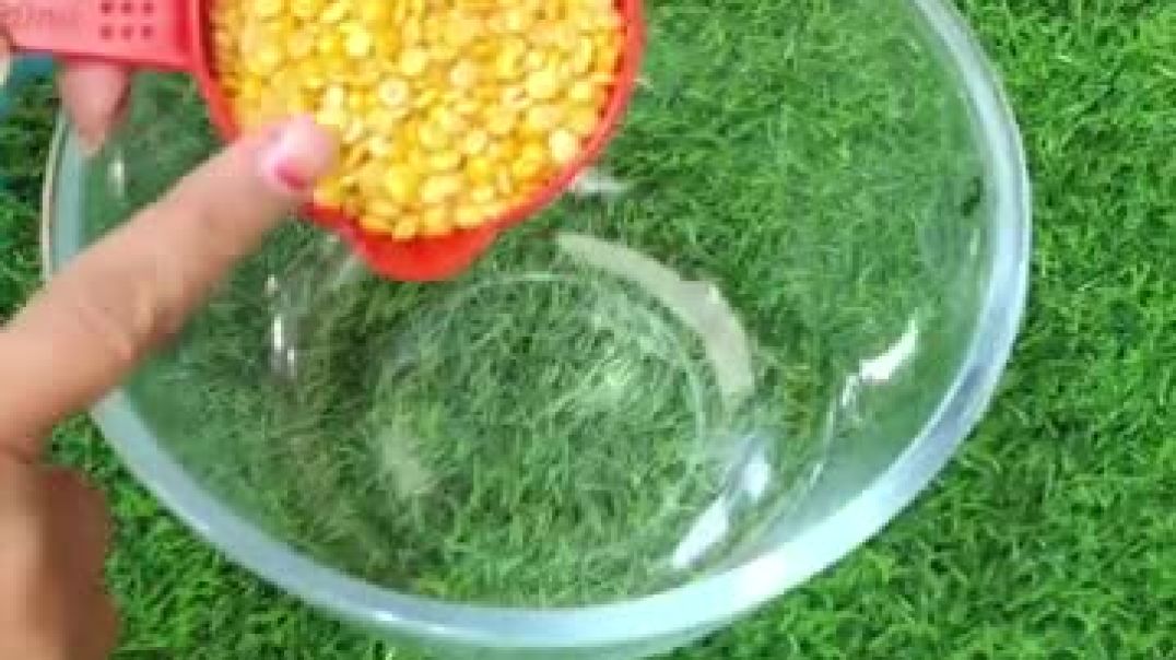 ⁣पंजाब का स्वाद राजस्थान में ले आई