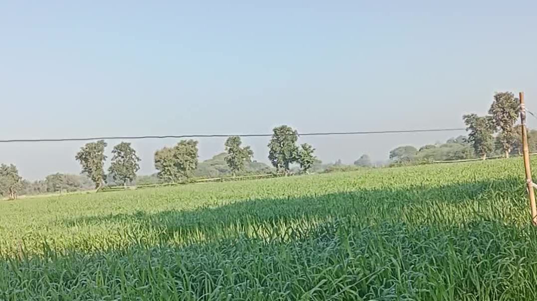 video_20251217_092230