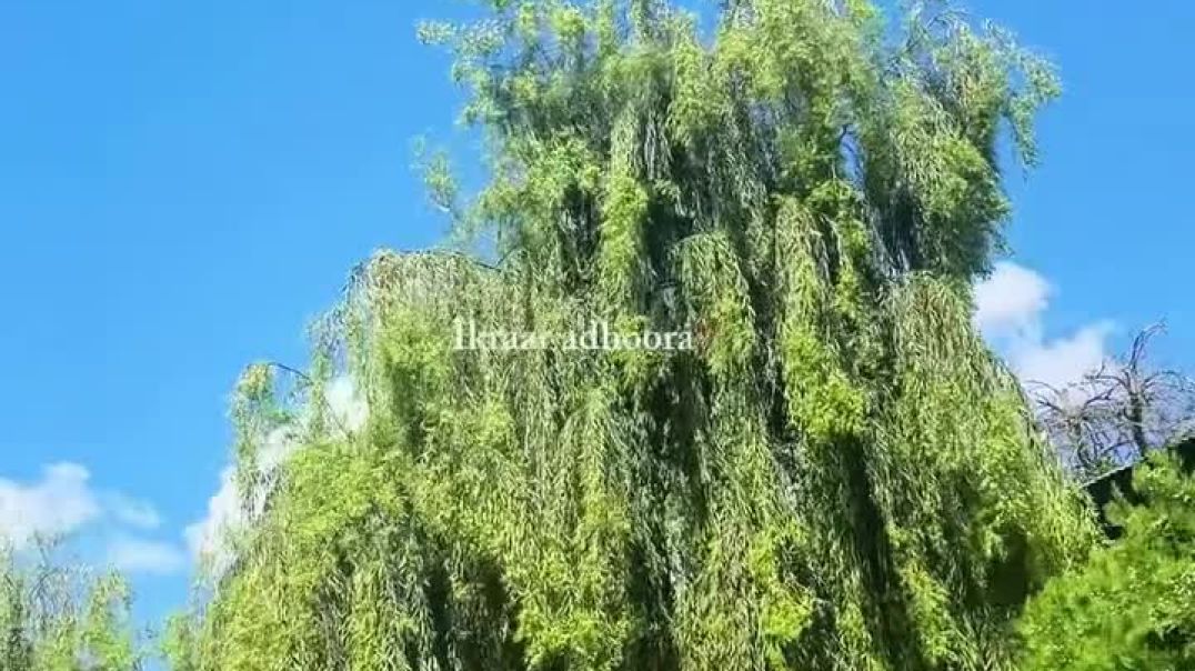 VID_20251214_224836_608