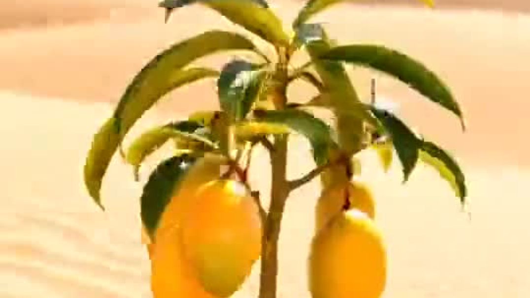 ZmReE27oWbUjYx9Q0VVKCjZYZv4Gv0cdPkwe