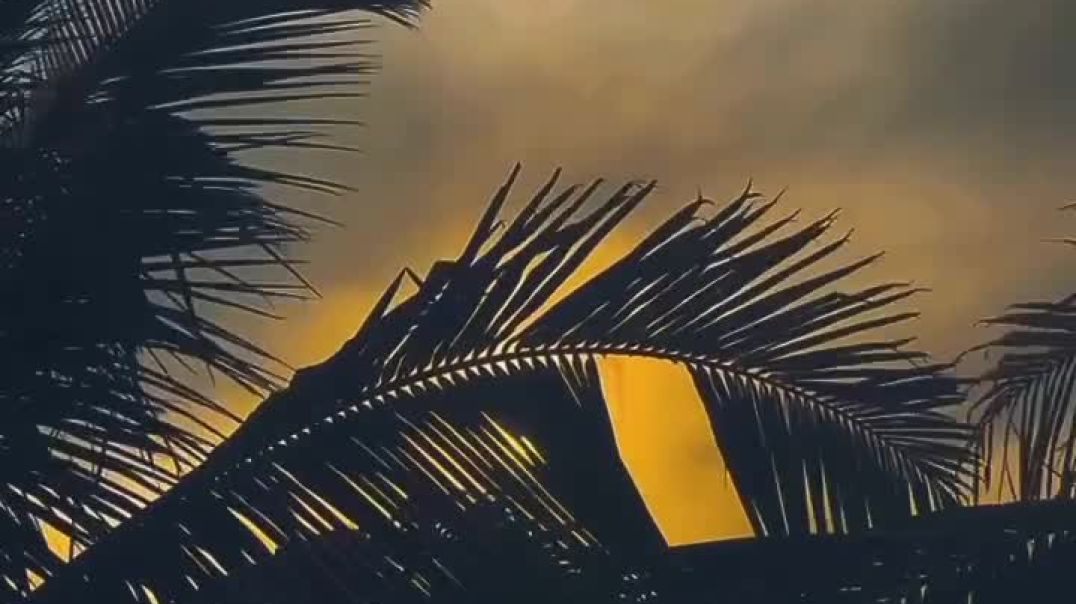 VID_20251130_072454_293