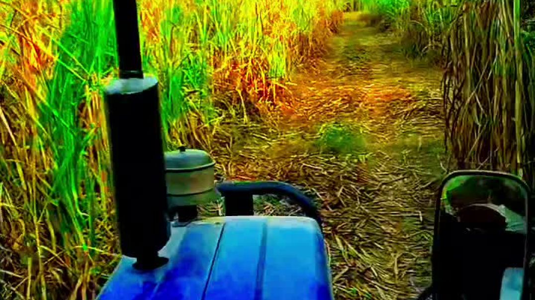 ⁣Village life 🌲