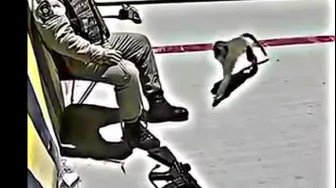 बिल्लू se पंगा nhi