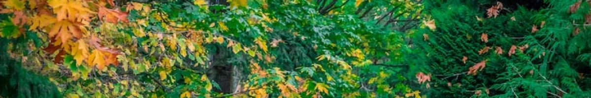 Hardik9383u Hardik9383u