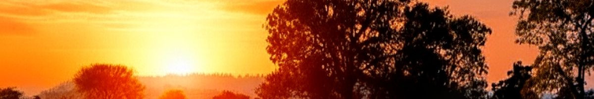 112880032665051113313 