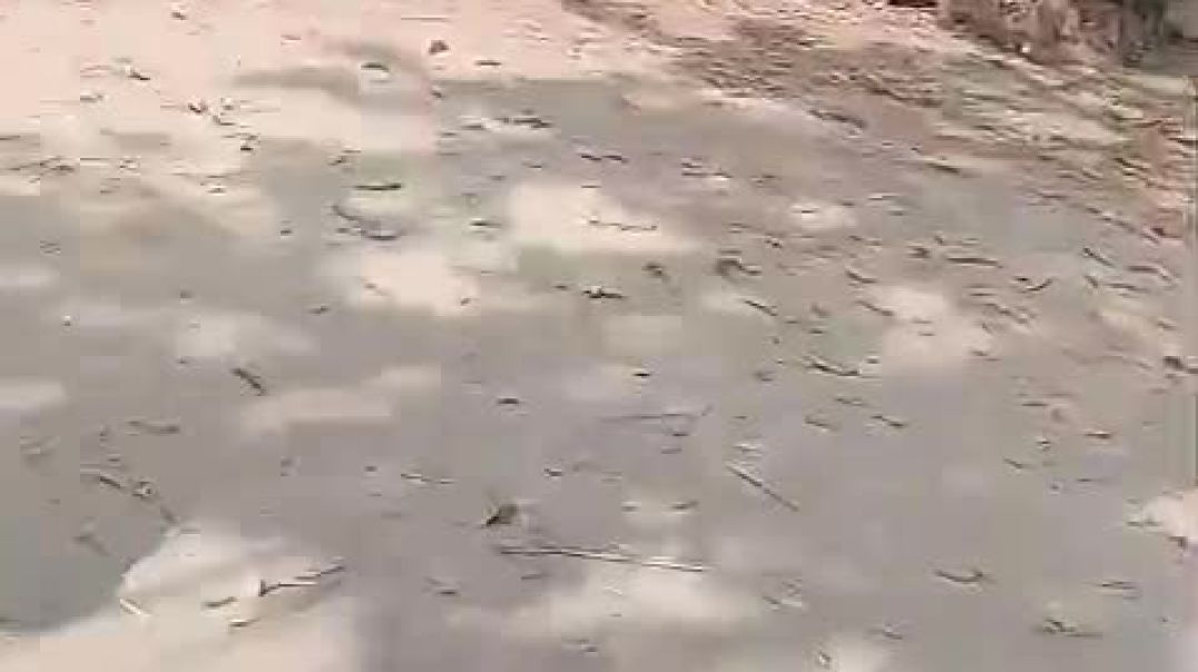 ⁣VID-20251206-WA0004