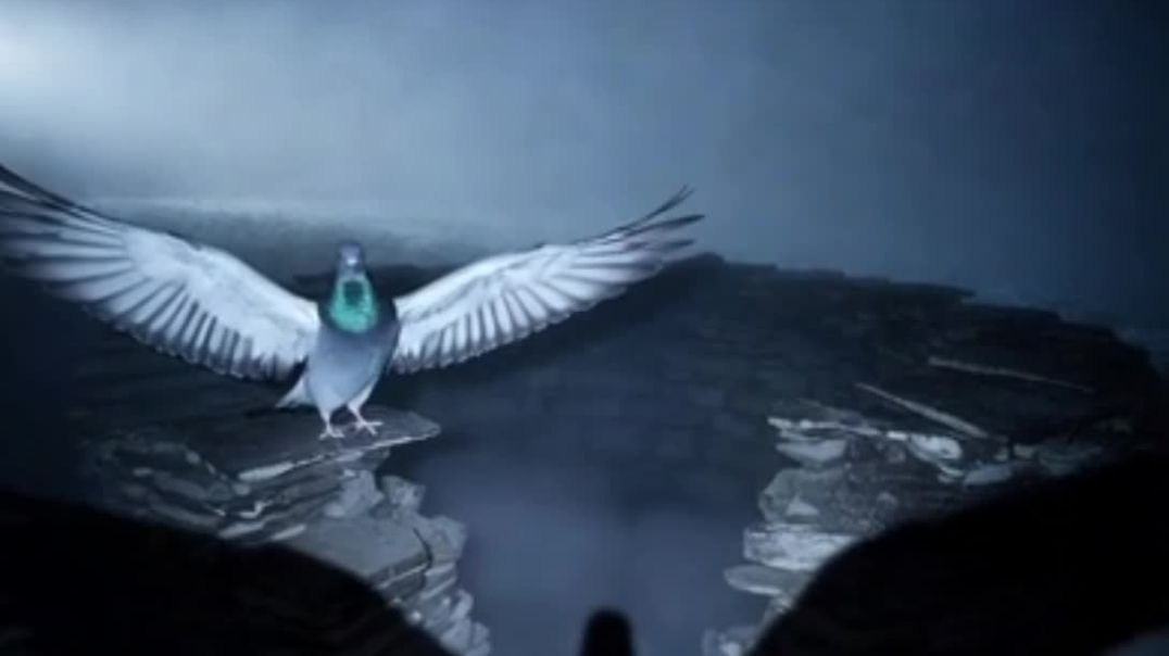 ⁣खतरनाक कबूतर 😱 | Dangerous Pigeon Story #shorts #ai #trending