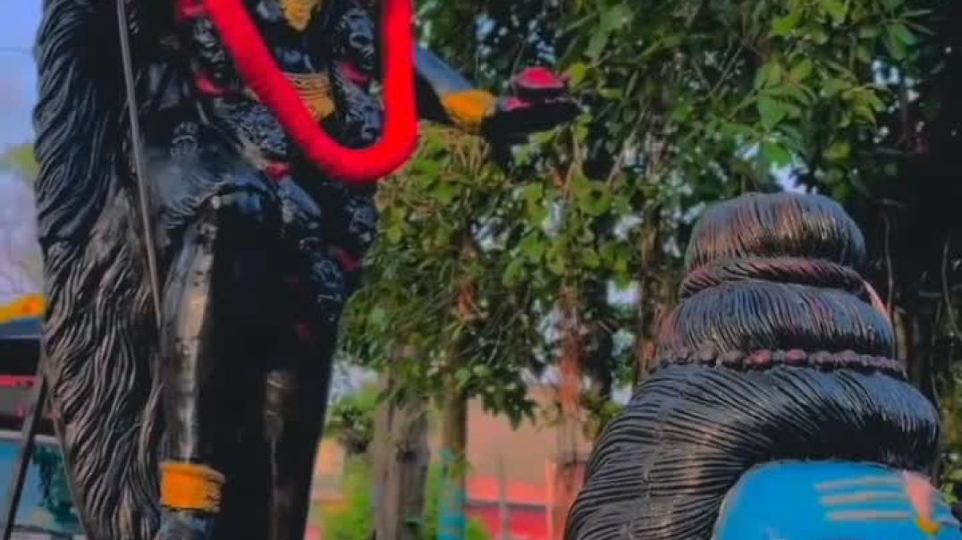 VID_184890706_095005_984