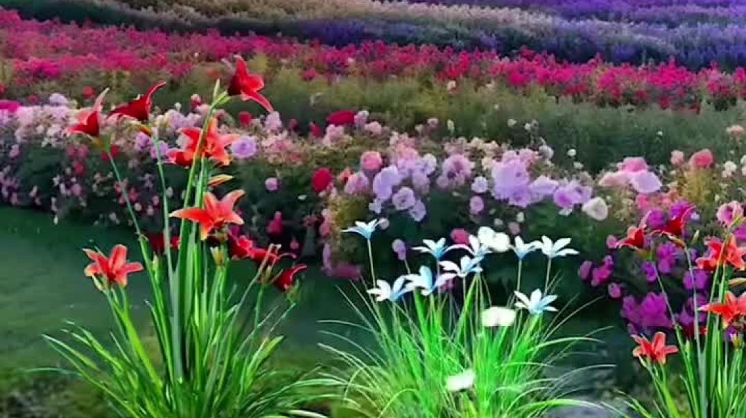 ⁣Good night friends #short#viral#video