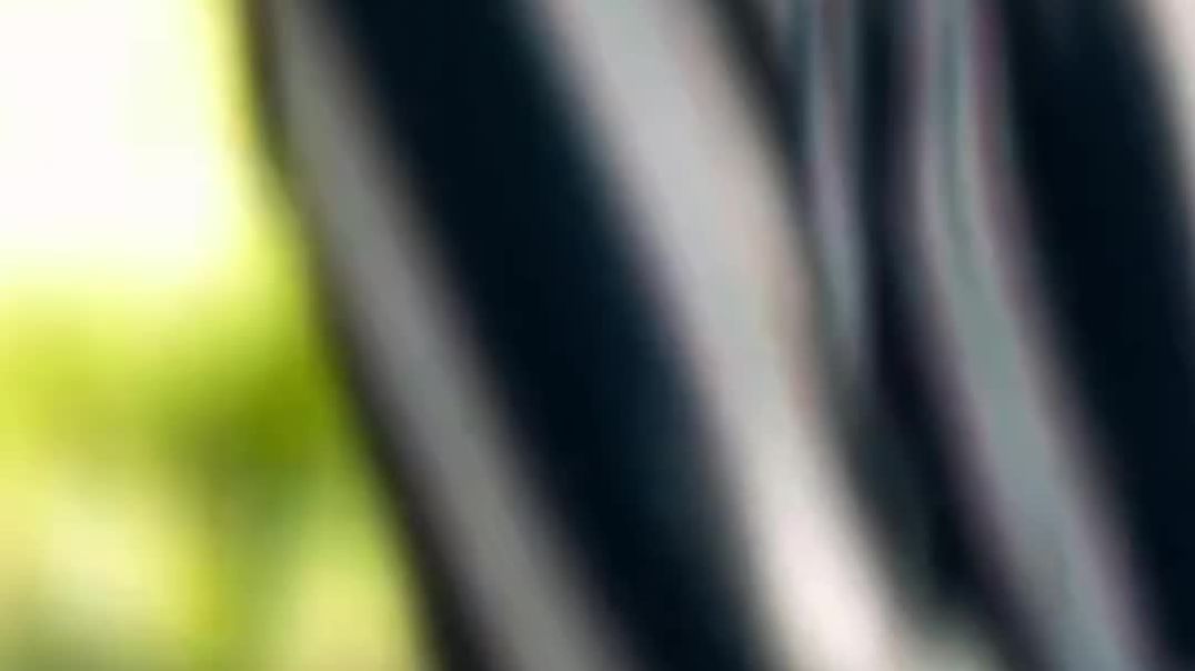 VID_20251206_193406_162