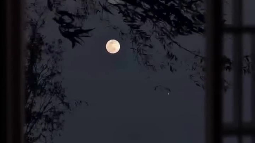 ⁣Follow me for more videos like this