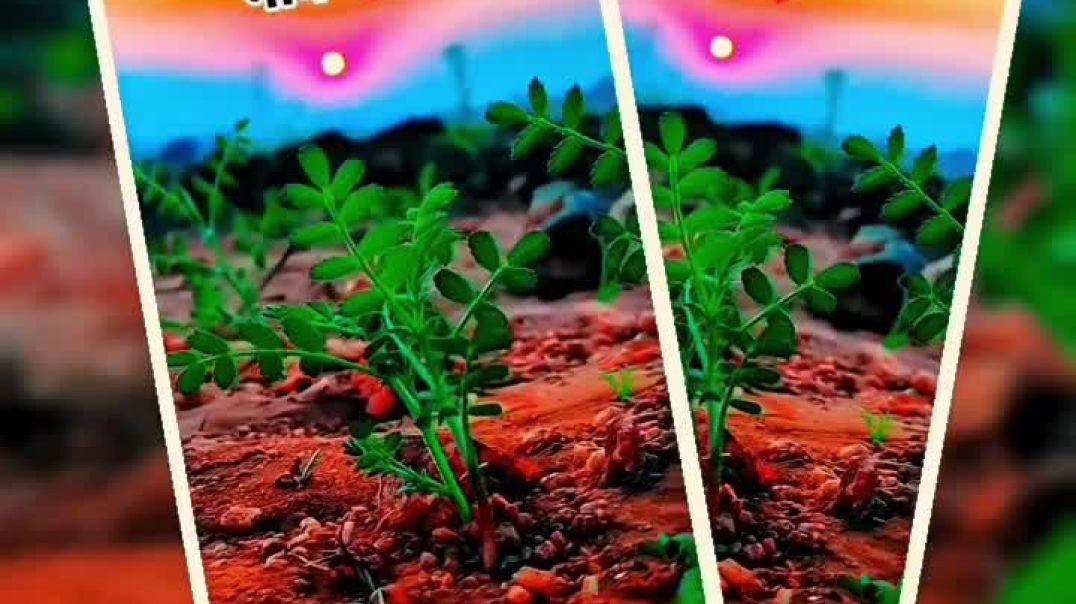 video_20251117_204912_edit