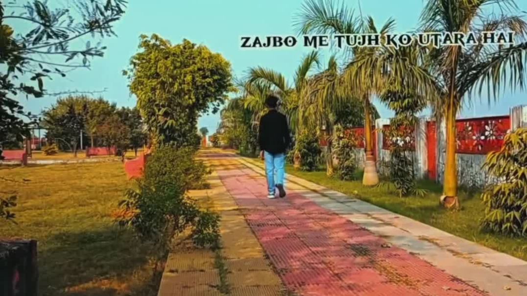 VID_20251201_041158_386