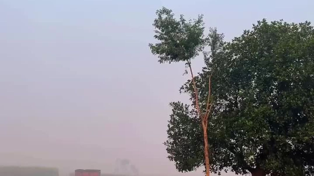 ⁣Morning on village