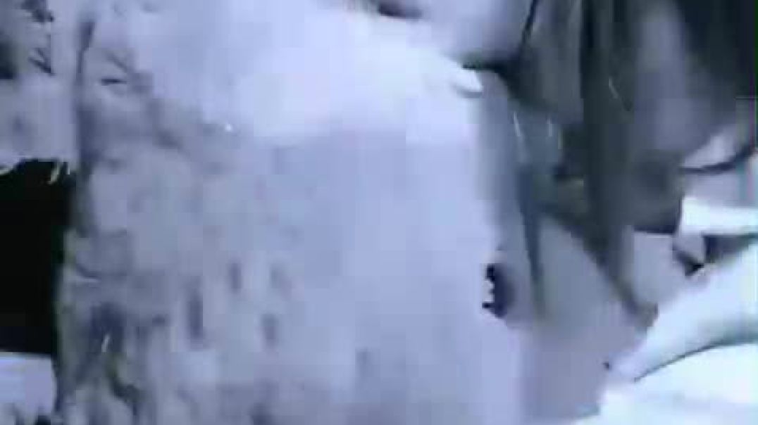 ⁣New video shorts trending